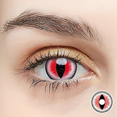 Pollyeye Sexy Cat Red Colored Contact Lenses - POLLYEYE.COM