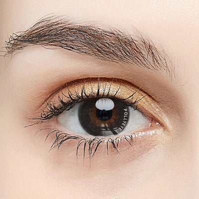 Pollyeye Anti Blue Ray Chocolate Black Colored Contact Lenses