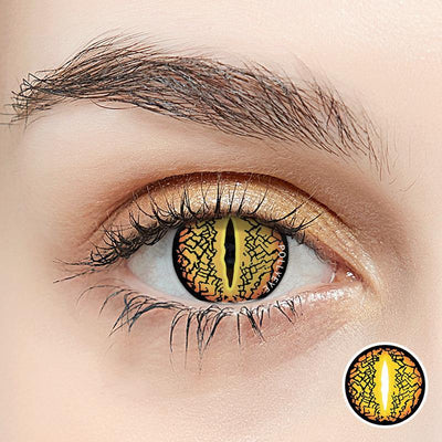 Pollyeye Lizard Eye Brown Colored Contact Lenses - POLLYEYE.COM