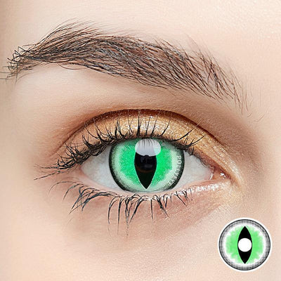 Pollyeye Sexy Cat Green Colored Contact Lenses - POLLYEYE.COM
